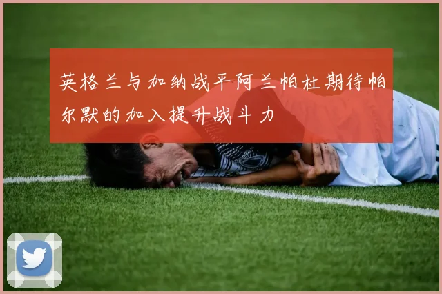 英格兰与加纳战平阿兰帕杜期待帕尔默的加入提升战斗力